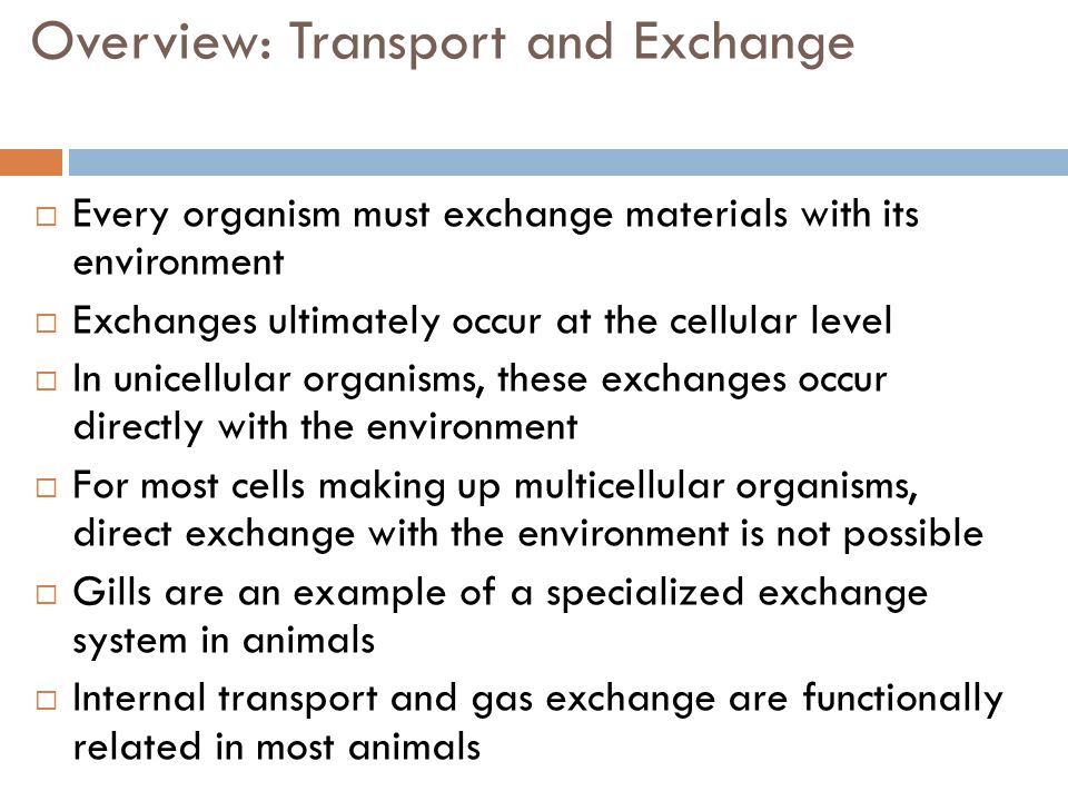 Gas exchange in organisms